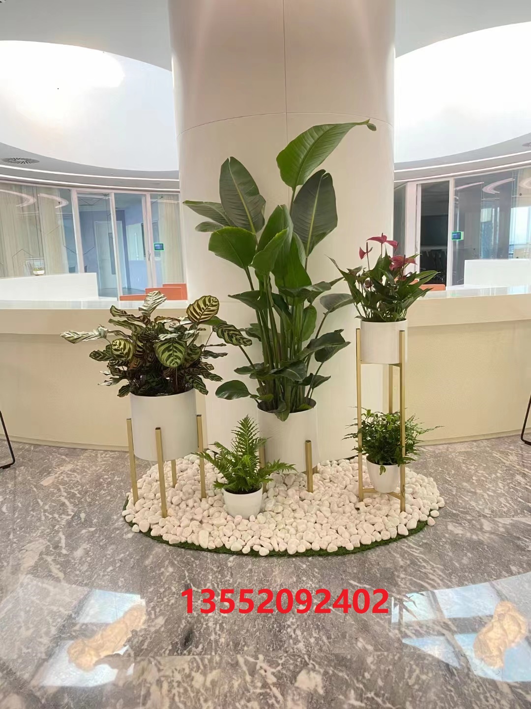 ?綠植租賃公司哪家好？如何選擇綠植租賃公司？